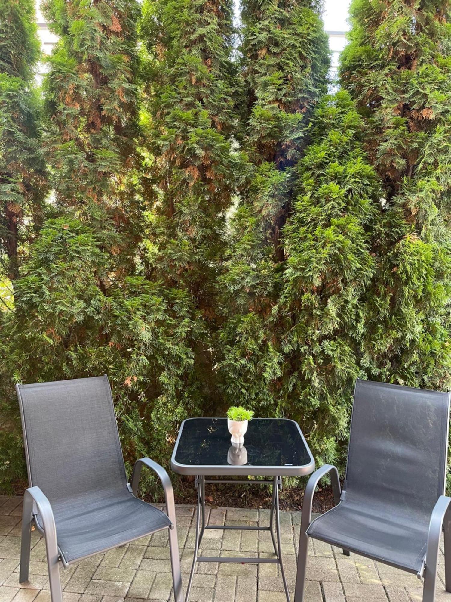 Apartman Gagi Zlatibor Buitenkant foto